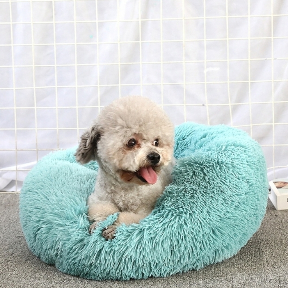 Dog Beds